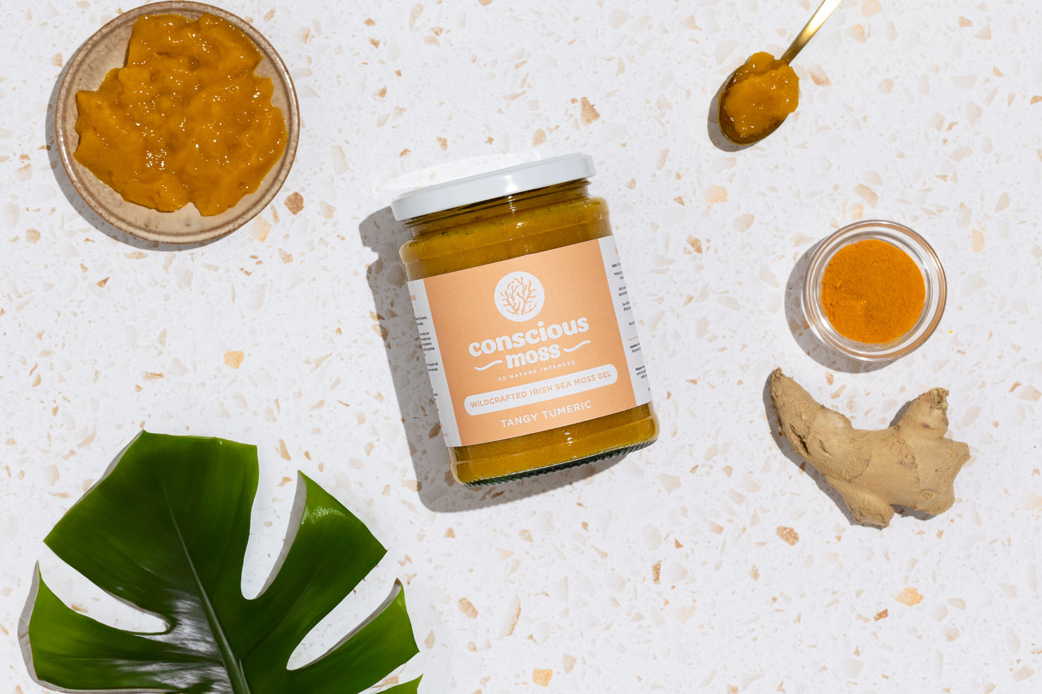 The Gut to Brain Connection & How Sea Moss Can Help