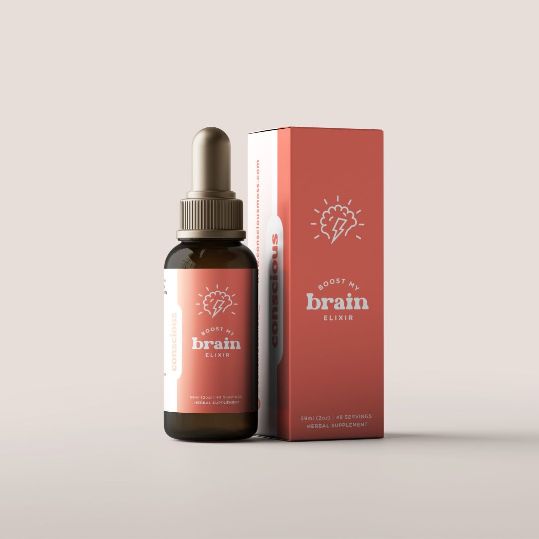 BOOST MY BRAIN | Lions Mane Mushroom Extract