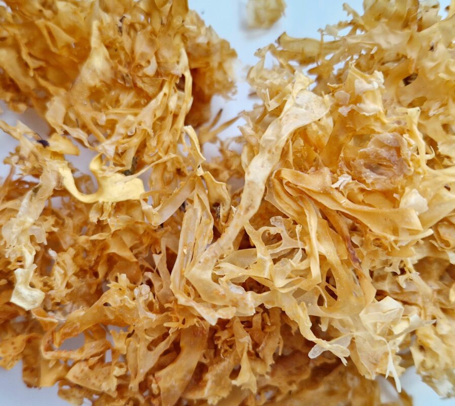 Organic Irish Sea Moss Leaf (Chondrus Crispus)